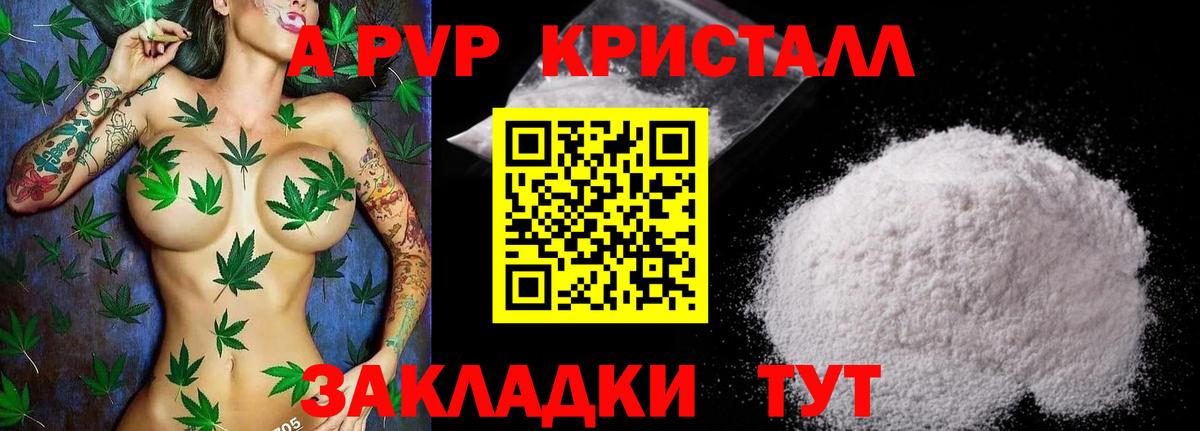 купить закладку  Альфа ПВП Crystall  A-PVP  APVP Соль  Вход с VPN  Великий Новгород  A PVP крисы CK 
