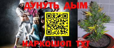 стаф Кулебаки