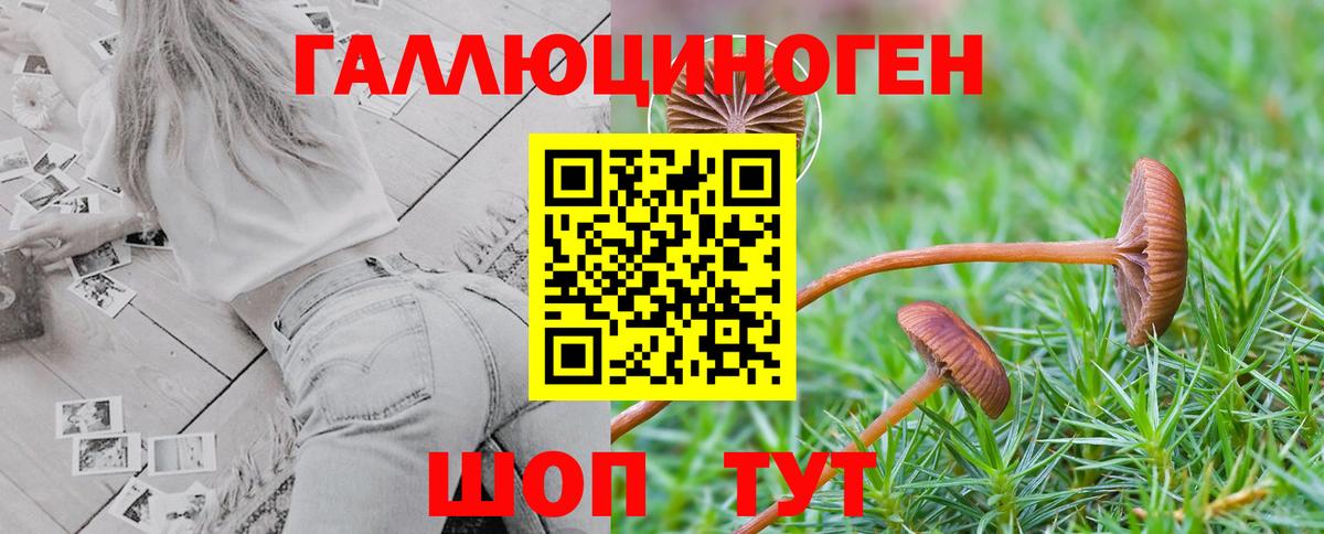 где можно купить   Галлюциногенные грибы ЛСД  Вход с VPN  Псилоцибиновые грибы мухоморы  Великий Новгород 