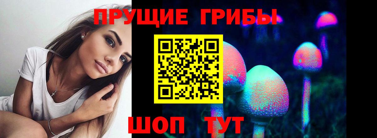 Псилоцибиновые грибы мухоморы Великий Новгород